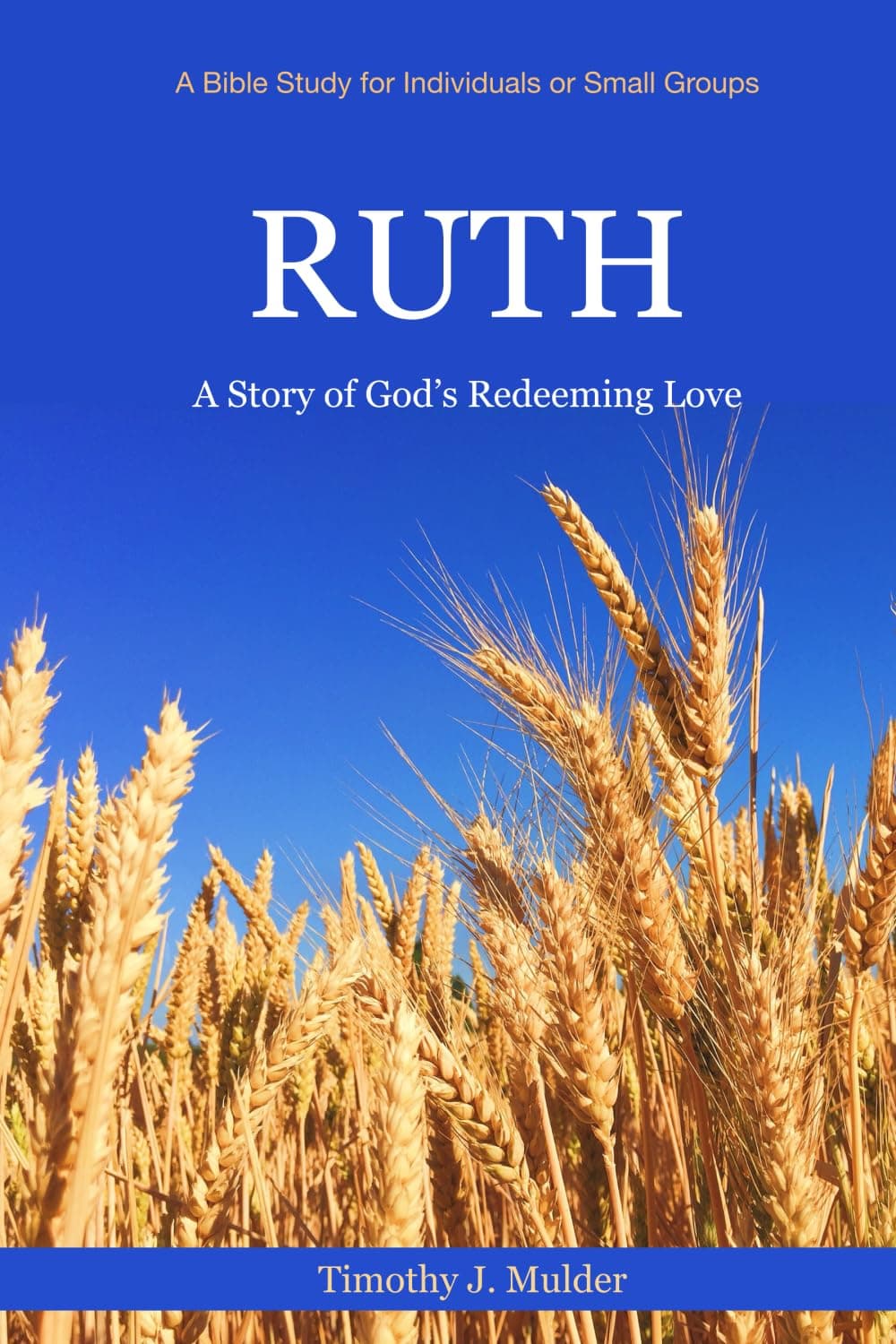 Cover of "Ruth" by Timothy J. Mulder